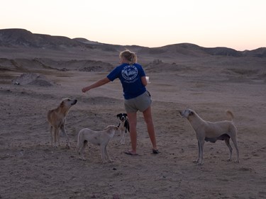 Desert dogs project supported by RSDS!