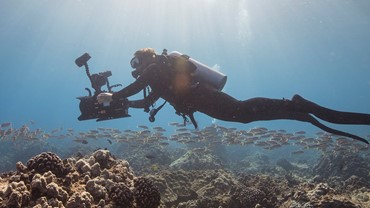 PADI Digital Underwater Photography Diver